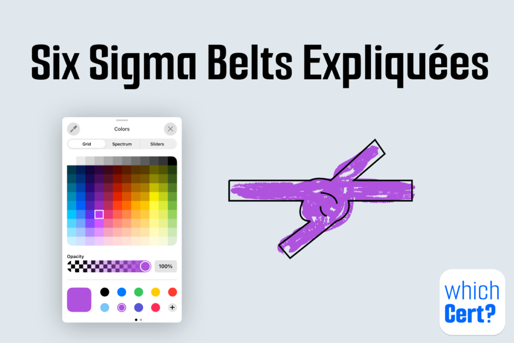 niveaux de certification six sigma